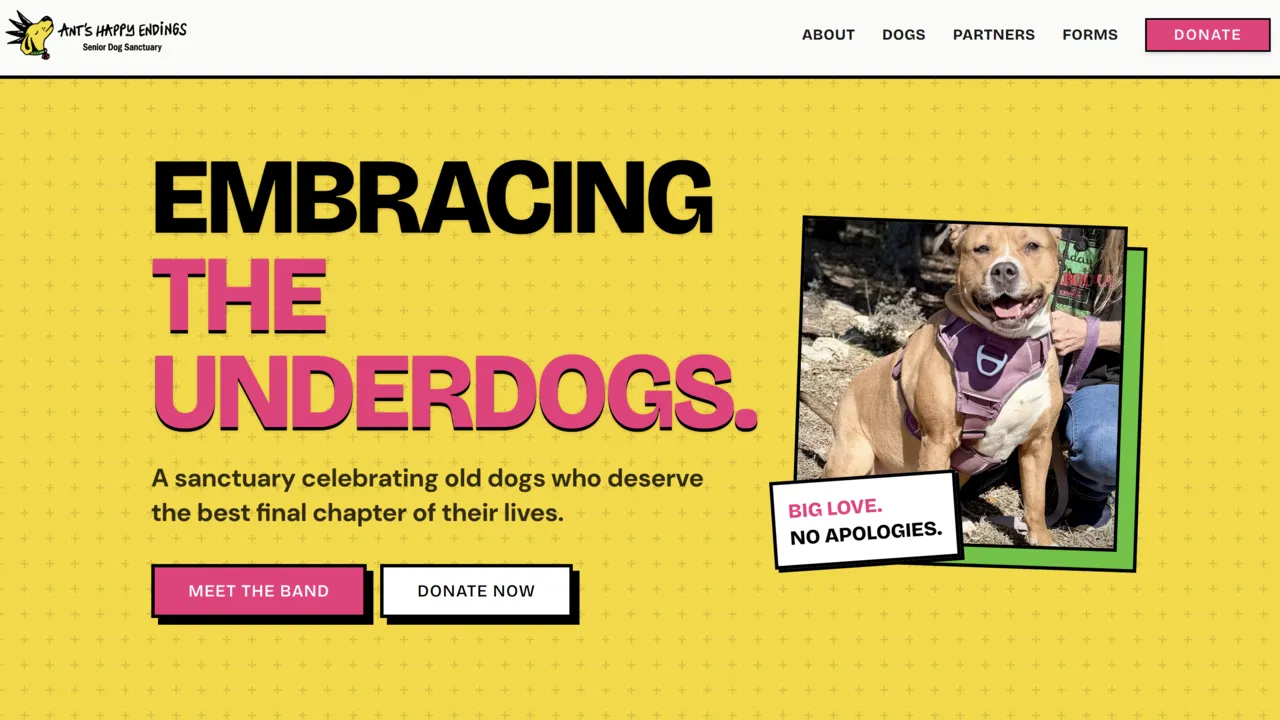Ant's Happy Endings service brand website designed by Digital Drift Designs